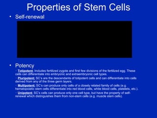 Properties of Stem Cells Self-renewal Potency ･ Totipotent :  Includes fertilized zygote and first few divisions of the fertilized egg. These cells can differentiate into embryonic and extraembryonic cell types. ･ Pluripotent:  SC’s are the descendants of totipotent cells and can differentiate into cells derived from any of the three germ layers. ･ Multipotent:  SC’s can produce only cells of a closely related family of cells (e.g. hematopoietic stem cells differentiate into red blood cells, white blood cells, platelets, etc.). ･ Unipotent :  SC’s cells can produce only one cell type, but have the property of self-renewal which distinguishes them from non-stem cells (e.g. muscle stem cells). 