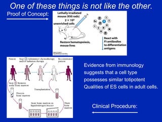 One of these things is not like the other. Evidence from immunology suggests that a cell type  possesses similar totipotent  Qualities of ES cells in adult cells. Proof of Concept: Clinical Procedure: 