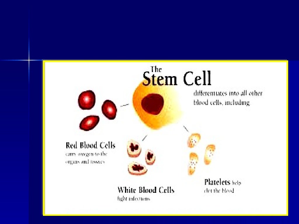 Stem Cell Technology