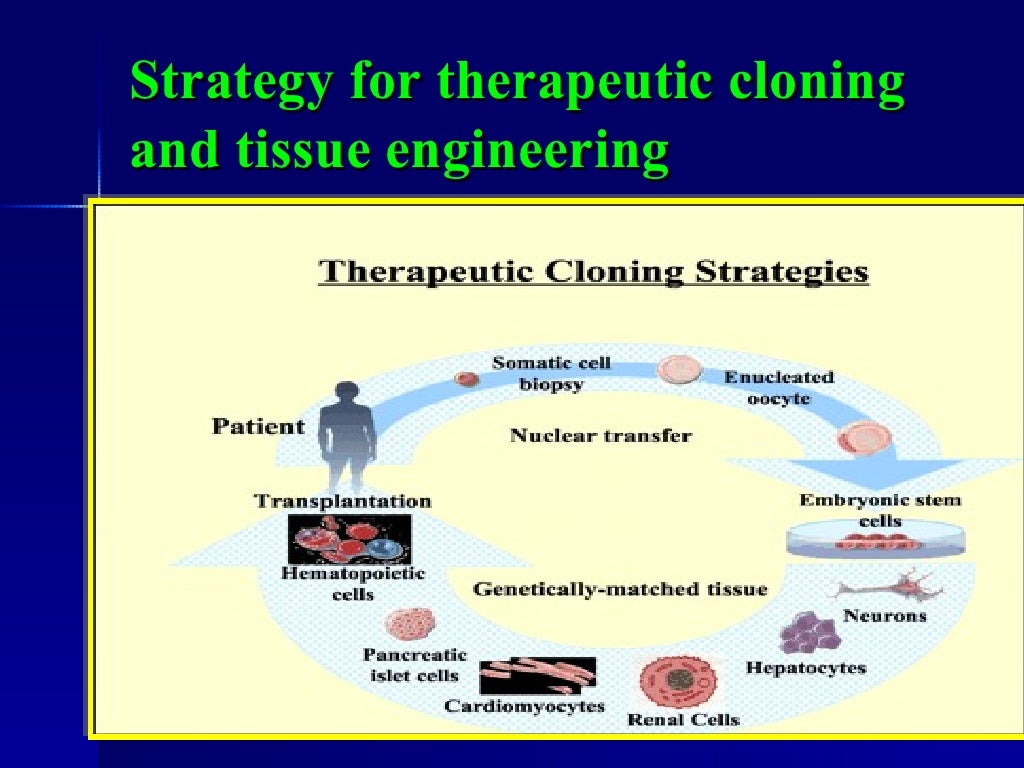 Stem Cell Technology