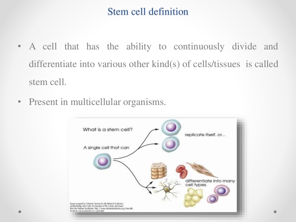 Stem cell technology