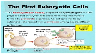 Stem cell technology regenarative medicine
