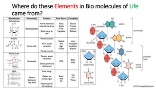 Where do these Elements in Bio molecules of Life
came from?
 