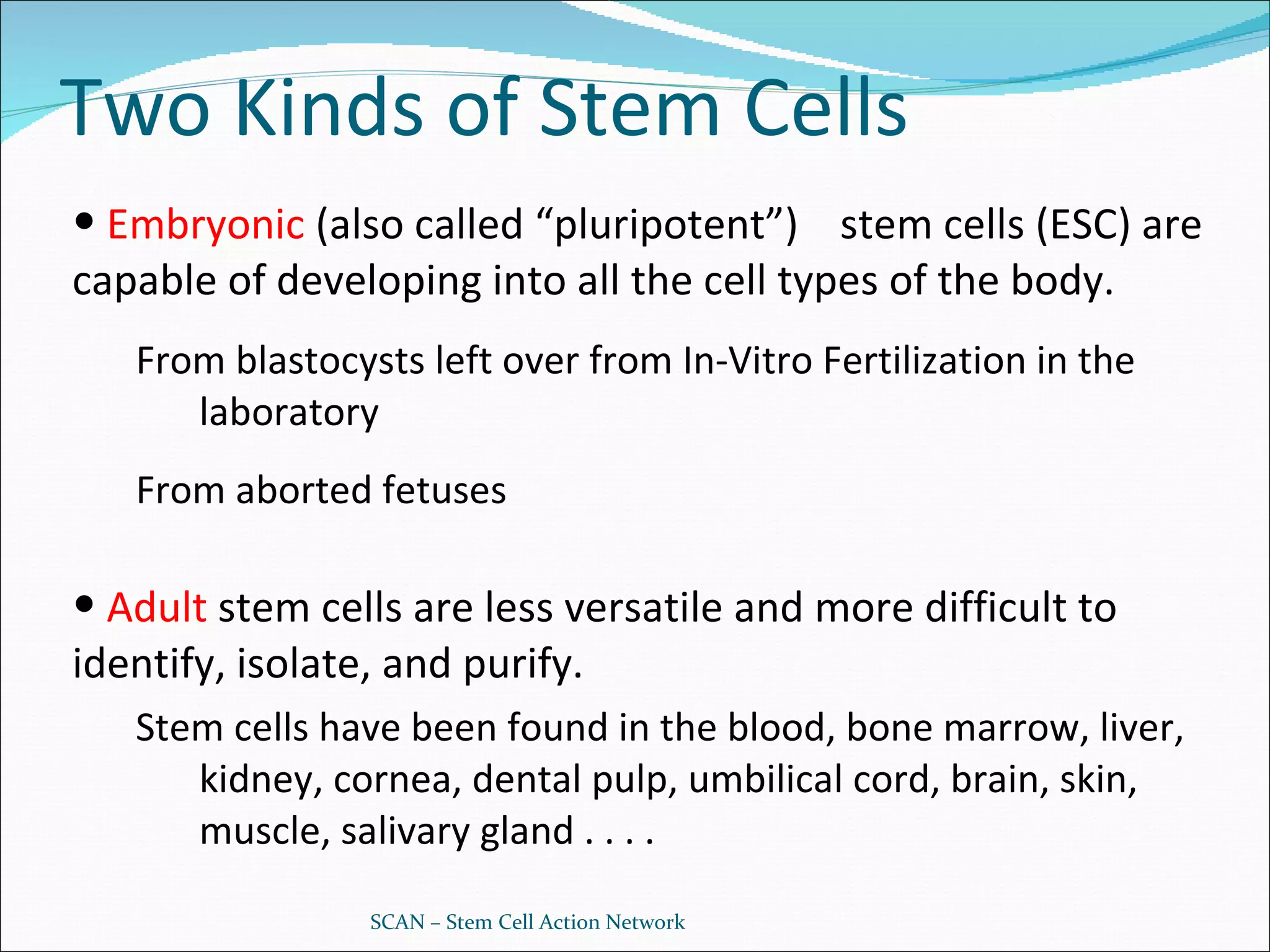 Two Kinds of Stem Cells Embryonic  (also called “pluripotent”)  stem cells (ESC) are capable of developing into all the cell types of the body.  From blastocysts left over from In-Vitro Fertilization in the laboratory From aborted fetuses Adult  stem cells are less versatile and more difficult to identify, isolate, and purify. Stem cells have been found in the blood, bone marrow, liver, kidney, cornea, dental pulp, umbilical cord, brain, skin, muscle, salivary gland . . . . SCAN – Stem Cell Action Network 