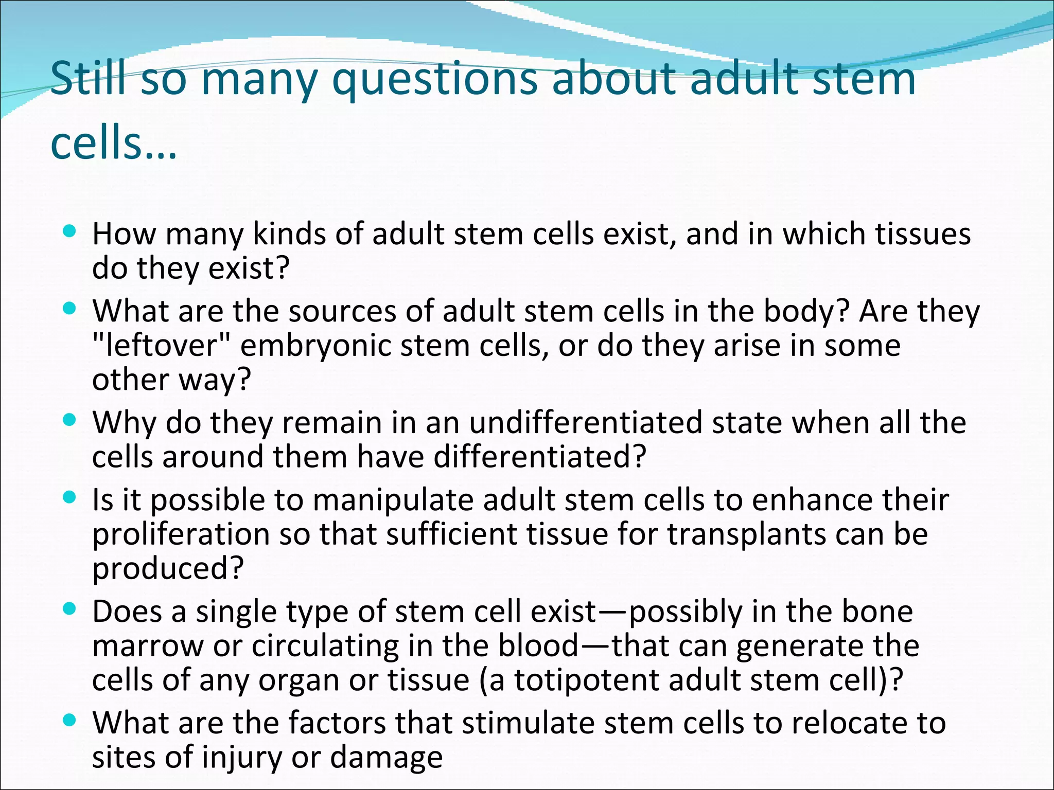 Still so many questions about adult stem cells… How many kinds of adult stem cells exist, and in which tissues do they exist? What are the sources of adult stem cells in the body? Are they "leftover" embryonic stem cells, or do they arise in some other way?  Why do they remain in an undifferentiated state when all the cells around them have differentiated? Is it possible to manipulate adult stem cells to enhance their proliferation so that sufficient tissue for transplants can be produced? Does a single type of stem cell exist—possibly in the bone marrow or circulating in the blood—that can generate the cells of any organ or tissue (a totipotent adult stem cell)? What are the factors that stimulate stem cells to relocate to sites of injury or damage  