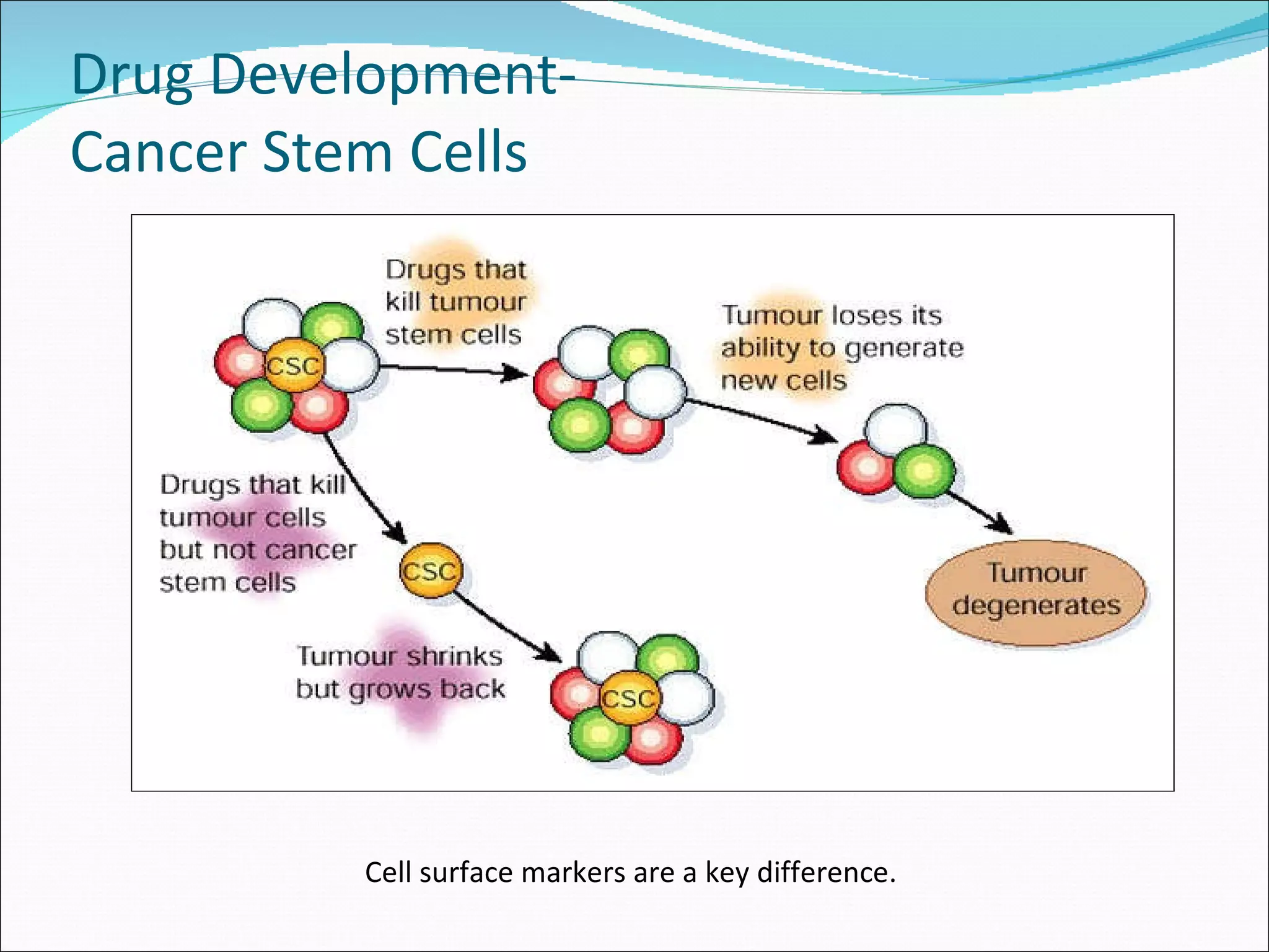 Drug Development- Cancer Stem Cells  Cell surface markers are a key difference. Reya, T., et al.  Nature , 2001 