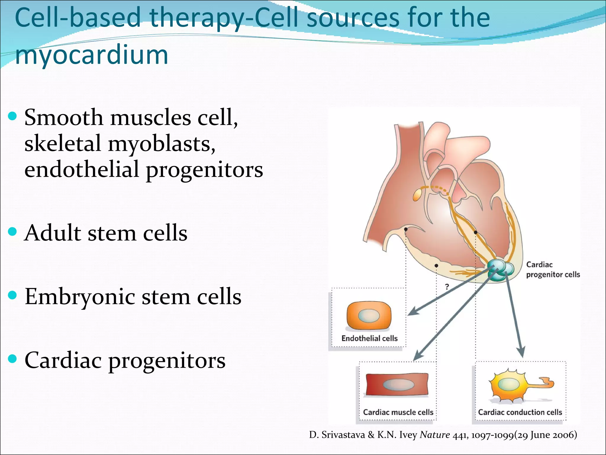 Cell-based therapy-Cell sources for the myocardium Smooth muscles cell, skeletal myoblasts, endothelial progenitors Adult stem cells Embryonic stem cells Cardiac progenitors D. Srivastava & K.N. Ivey  Nature  441, 1097-1099(29 June 2006) 
