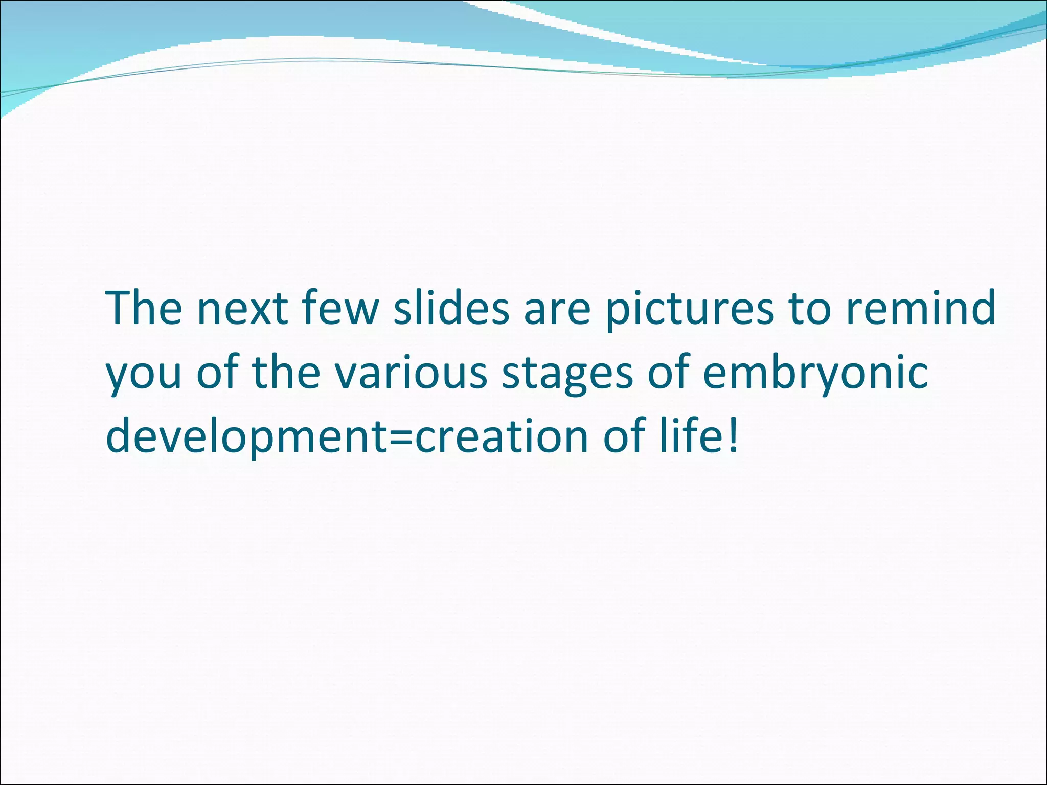 The next few slides are pictures to remind you of the various stages of embryonic development=creation of life! 