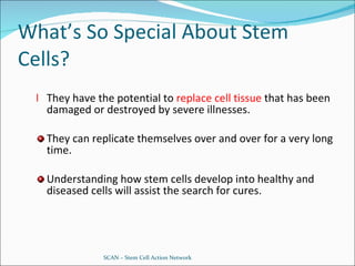 What’s So Special About Stem Cells?   They have the potential to  replace cell tissue  that has been damaged or destroyed by severe illnesses. They can replicate themselves over and over for a very long time. Understanding how stem cells develop into healthy and diseased cells will assist the search for cures. SCAN – Stem Cell Action Network 