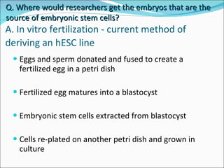 A. In vitro fertilization - current method of deriving an hESC line   Eggs and sperm donated and fused to create a fertilized egg in a petri dish Fertilized egg matures into a blastocyst Embryonic stem cells extracted from blastocyst Cells re-plated on another petri dish and grown in culture Q. Where would researchers get the embryos that are the source of embryonic stem cells? 