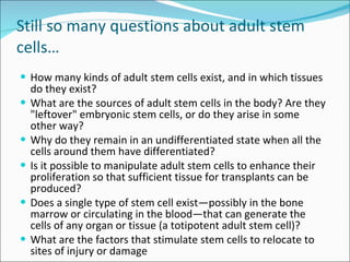 Still so many questions about adult stem cells… How many kinds of adult stem cells exist, and in which tissues do they exist? What are the sources of adult stem cells in the body? Are they "leftover" embryonic stem cells, or do they arise in some other way?  Why do they remain in an undifferentiated state when all the cells around them have differentiated? Is it possible to manipulate adult stem cells to enhance their proliferation so that sufficient tissue for transplants can be produced? Does a single type of stem cell exist—possibly in the bone marrow or circulating in the blood—that can generate the cells of any organ or tissue (a totipotent adult stem cell)? What are the factors that stimulate stem cells to relocate to sites of injury or damage  