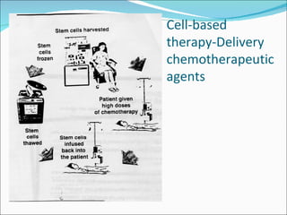 Cell-based therapy-Delivery chemotherapeutic agents 