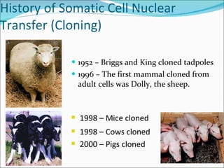 History of Somatic Cell Nuclear Transfer (Cloning) 1952 – Briggs and King cloned tadpoles 1996 – The first mammal cloned from adult cells was Dolly, the sheep. 1998 – Mice cloned 1998 – Cows cloned 2000 – Pigs cloned 