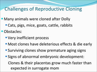 Challenges of Reproductive Cloning Many animals were cloned after Dolly  Cats, pigs, mice, goats, cattle, rabbits Obstacles: Very inefficient process Most clones have deleterious effects & die early Surviving clones show premature aging signs Signs of abnormal embryonic development: Clones & their placentas grow much faster than expected in surrogate mom 