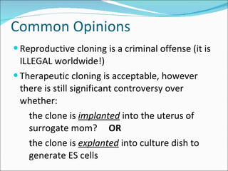 Common Opinions Reproductive cloning is a criminal offense (it is ILLEGAL worldwide!) Therapeutic cloning is acceptable, however there is still significant controversy over whether: the clone is  implanted  into the uterus of surrogate mom?  OR the clone is  explanted  into culture dish to generate ES cells 