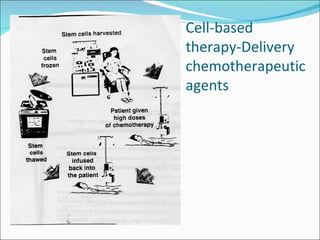 Stem cell & therapeutic cloning Lecture Slide 49