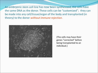 Stem cell & therapeutic cloning Lecture Slide 59