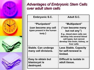 Advantages of Embryonic Stem Cells over adult stem cells Difficult to isolate in adult tissue. Easy to obtain but blastocyst is destroyed. Less Stable. Capacity for self-renewal is limited. Stable. Can undergo many cell divisions. “ Multipotent” (“can become many but not any”)  E.g., blood stem cells can develop into several blood cell types, but cannot develop into brain, kidney, or liver cells “ Pluripotent” (can become any cell  types present in the human body   ) Adult S.C. Embryonic S.C. 