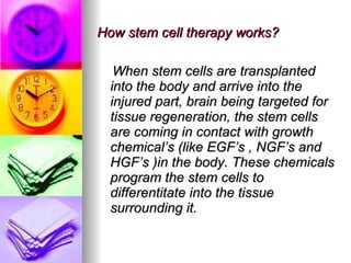 How stem cell therapy works? When stem cells are transplanted into the body and arrive into the injured part, brain being targeted for tissue regeneration, the stem cells are coming in contact with growth chemical’s (like EGF’s , NGF’s and HGF’s )in the body. These chemicals program the stem cells to differentitate into the tissue surrounding it. 
