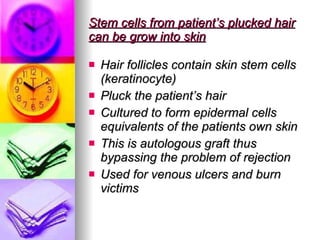 Stem cells from patient’s plucked hair can be grow into skin   Hair follicles contain skin stem cells (keratinocyte)  Pluck the patient’s hair  Cultured to form epidermal cells equivalents of the patients own skin This is autologous graft thus bypassing the problem of rejection Used for venous ulcers and burn victims 