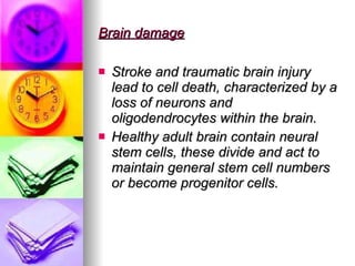 Brain damage   Stroke and traumatic brain injury lead to cell death, characterized by a loss of neurons and oligodendrocytes within the brain. Healthy adult brain contain neural stem cells, these divide and act to maintain general stem cell numbers or become progenitor cells. 