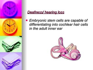 Deafness/ hearing loss Embryonic stem cells are capable of differentiating into cochlear hair cells in the adult inner ear  