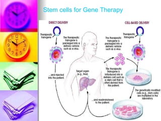 Stem cells for Gene Therapy 