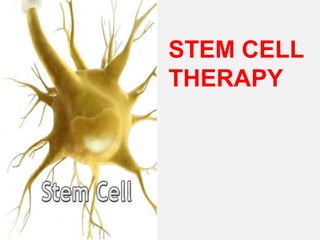 STEM CELL
THERAPY
 