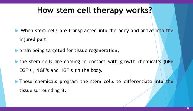 stem cell therapy how the cell works
