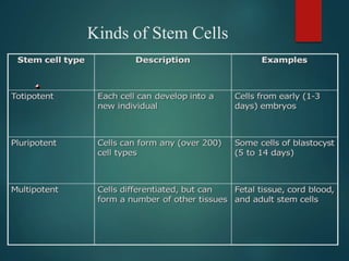Cell Therapy Classification Stem cell therapy | PPTX