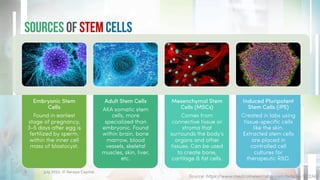 Sources of Stem Cells
July 2022. © Xeraya Capital.
5
Source: https://www.medicalnewstoday.com/articles/323343
Embryonic Stem
Cells
Found in earliest
stage of pregnancy,
3-5 days after egg is
fertilized by sperm,
within the inner cell
mass of blastocyst.
Adult Stem Cells
AKA somatic stem
cells, more
specialized than
embryonic. Found
within brain, bone
marrow, blood
vessels, skeletal
muscles, skin, liver,
etc.
Mesenchymal Stem
Cells (MSCs)
Comes from
connective tissue or
stroma that
surrounds the body’s
organs and other
tissues. Can be used
to create bone,
cartilage & fat cells.
Induced Pluripotent
Stem Cells (iPS)
Created in labs using
tissue-specific cells
like the skin.
Extracted stem cells
are placed in
controlled cell
cultures for
therapeutic R&D.