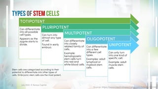 Types of Stem Cells
July 2022. © Xeraya Capital.
6
Source: https://www.medicalnewstoday.com/articles/323343
TOTIPOTENT
Can differentiate
into all possible
cell types.
Appears as the
zygote starts to
divide.
PLURIPOTENT
Can turn into
almost any type
of cell.
Found in early
embryo.
MULTIPOTENT
Can differentiate
into closely
related family of
cells.
Example:
hematopoietic
stem cells turn
into red and
white blood cells.
OLIGOPOTENT
Can differentiate
into a few
different cell
types.
Examples: adult
lymphoid or
myeloid stem
cells.
UNIPOTENT
Can only turn
into one kind of
specific cell.
Example: adult
muscle stem
cells.
Stem cells are categorized according to their
potential to differentiate into other types of
cells. Embryonic stem cells are the most potent.
