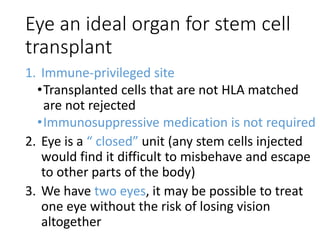 Eye an ideal organ for stem cell
transplant
1. Immune-privileged site
•Transplanted cells that are not HLA matched
are not rejected
•Immunosuppressive medication is not required
2. Eye is a “ closed” unit (any stem cells injected
would find it difficult to misbehave and escape
to other parts of the body)
3. We have two eyes, it may be possible to treat
one eye without the risk of losing vision
altogether
 