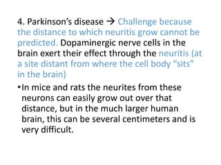 4. Parkinson’s disease  Challenge because
the distance to which neuritis grow cannot be
predicted. Dopaminergic nerve cells in the
brain exert their effect through the neuritis (at
a site distant from where the cell body “sits”
in the brain)
•In mice and rats the neurites from these
neurons can easily grow out over that
distance, but in the much larger human
brain, this can be several centimeters and is
very difficult.
 