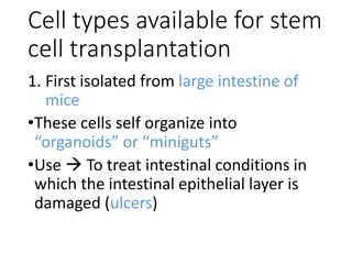 Cell types available for stem
cell transplantation
1. First isolated from large intestine of
mice
•These cells self organize into
“organoids” or “miniguts”
•Use  To treat intestinal conditions in
which the intestinal epithelial layer is
damaged (ulcers)
 