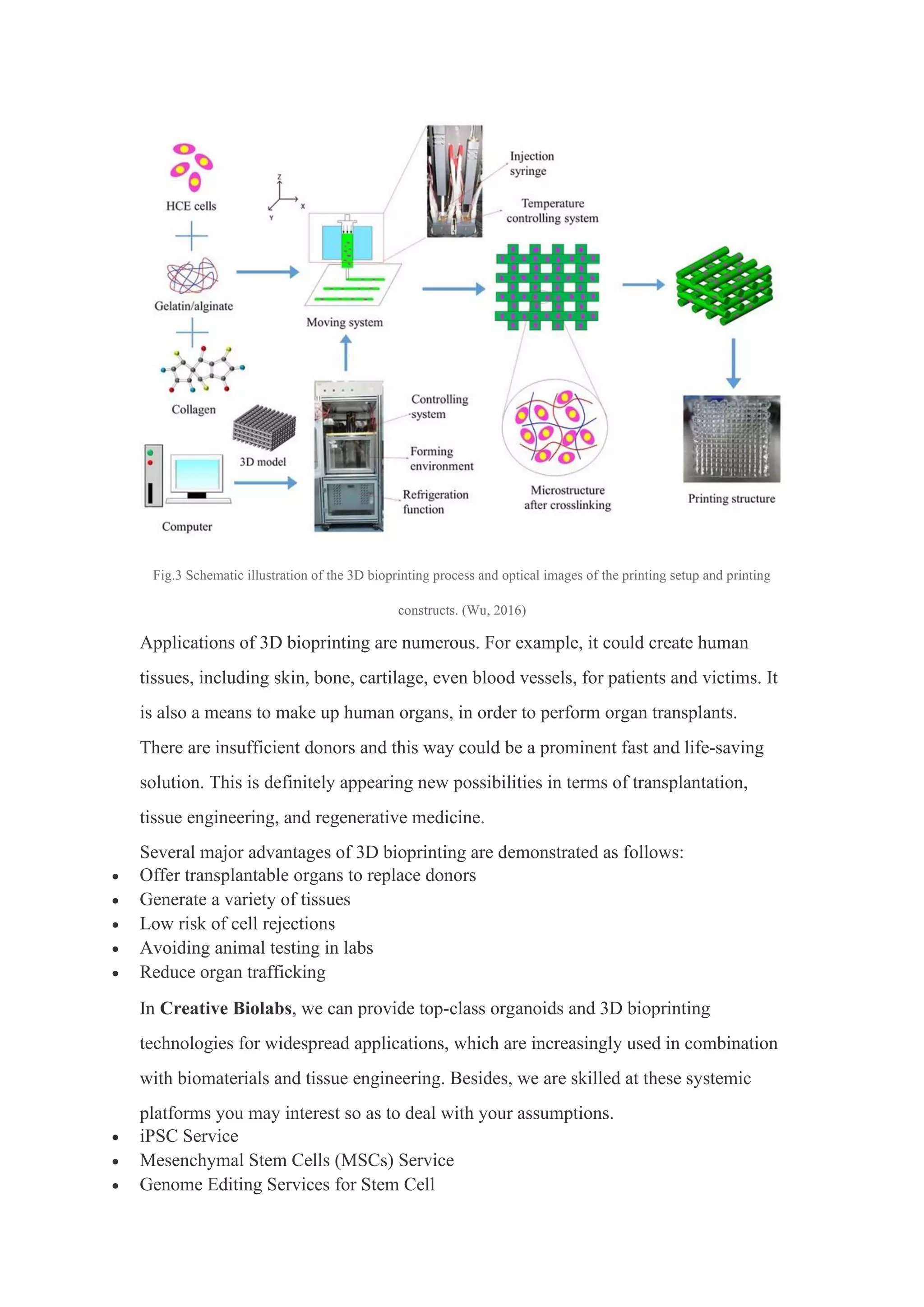 Stem cell therapy and organoid and 3D bioprinting | PDF