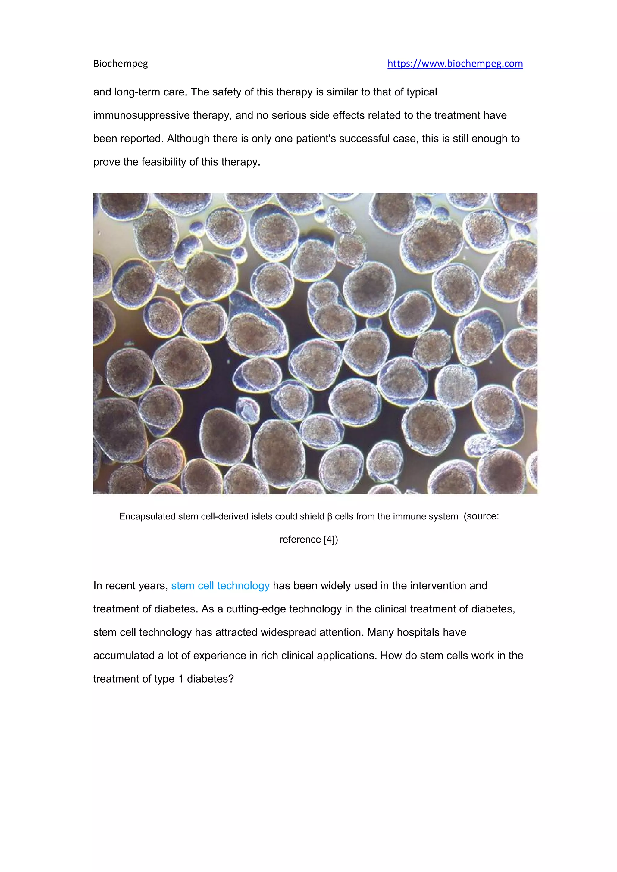 Stem cell therapy first successful in treatment of type 1 diabetes ...