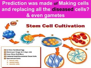 Stem cell therapy : A hope to 