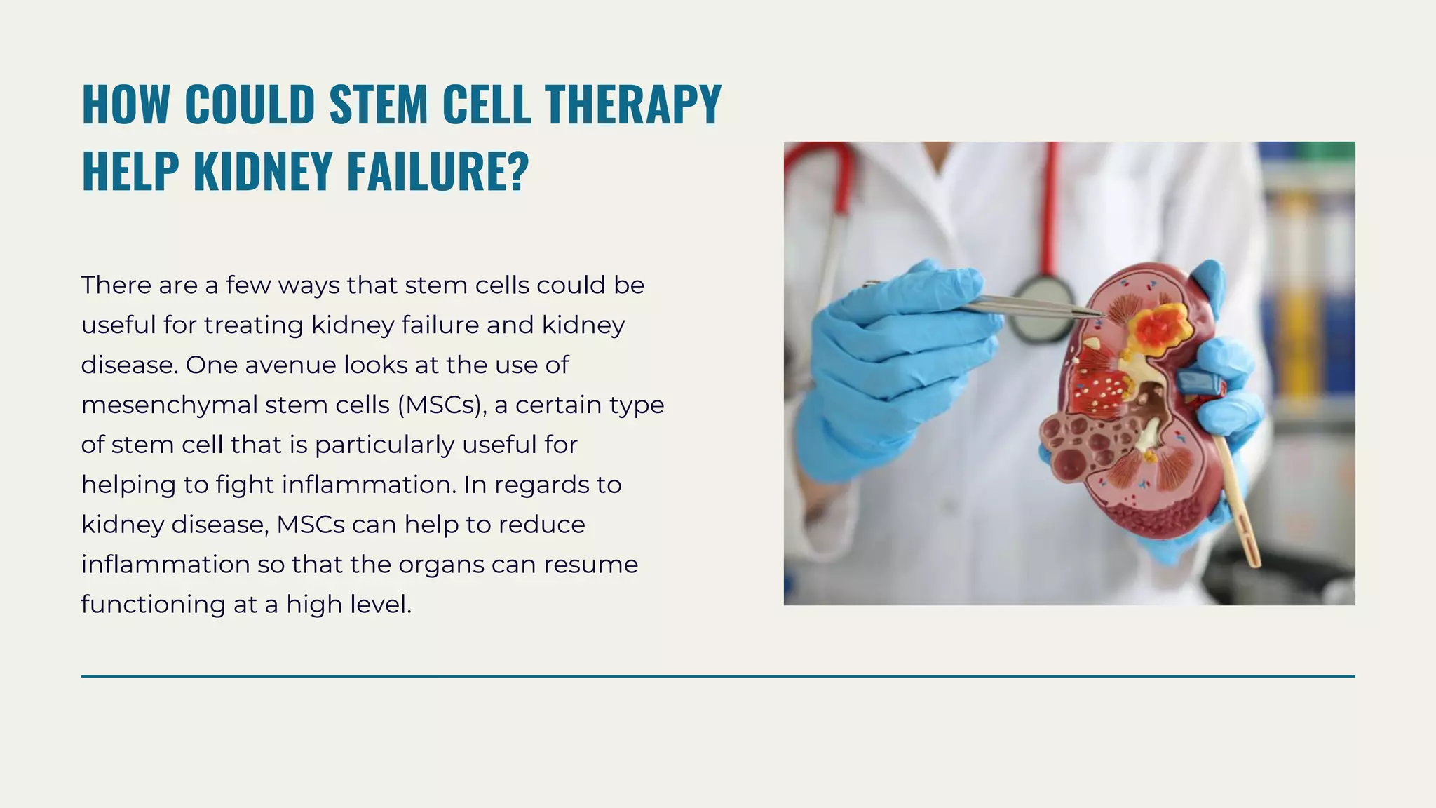 Stem cell Therapy For Kidney Failure & Disease Dr David Greene .pptx