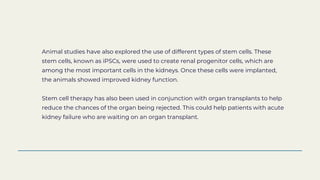 Stem cell Therapy For Kidney Failure & Disease Dr David Greene .pptx