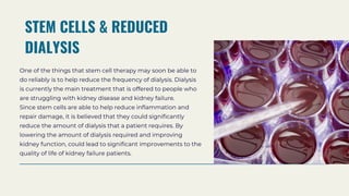 Stem cell Therapy For Kidney Failure & Disease Dr David Greene .pptx