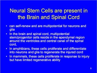 Stem cell therapy for spinal cord injuries | PPTX