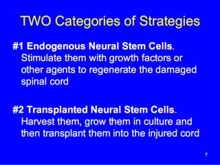 Stem cell therapy for spinal cord injuries | PPTX