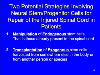 Stem cell therapy for spinal cord injuries | PPTX