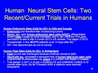 Stem cell therapy for spinal cord injuries | PPTX