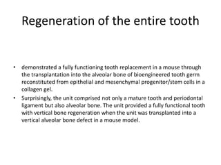 Regeneration of the entire tooth
• demonstrated a fully functioning tooth replacement in a mouse through
the transplantation into the alveolar bone of bioengineered tooth germ
reconstituted from epithelial and mesenchymal progenitor/stem cells in a
collagen gel.
• Surprisingly, the unit comprised not only a mature tooth and periodontal
ligament but also alveolar bone. The unit provided a fully functional tooth
with vertical bone regeneration when the unit was transplanted into a
vertical alveolar bone defect in a mouse model.
 