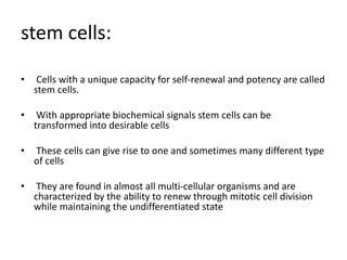 stem cells:
• Cells with a unique capacity for self-renewal and potency are called
stem cells.
• With appropriate biochemical signals stem cells can be
transformed into desirable cells
• These cells can give rise to one and sometimes many different type
of cells
• They are found in almost all multi-cellular organisms and are
characterized by the ability to renew through mitotic cell division
while maintaining the undifferentiated state
 