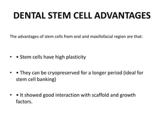 DENTAL STEM CELL ADVANTAGES
The advantages of stem cells from oral and maxillofacial region are that:
• • Stem cells have high plasticity
• • They can be cryopreserved for a longer period (ideal for
stem cell banking)
• • It showed good interaction with scaffold and growth
factors.
 