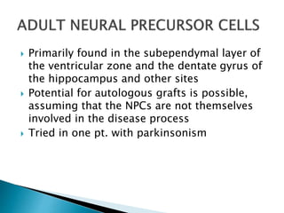  Primarily found in the subependymal layer of 
the ventricular zone and the dentate gyrus of 
the hippocampus and other sites 
 Potential for autologous grafts is possible, 
assuming that the NPCs are not themselves 
involved in the disease process 
 Tried in one pt. with parkinsonism 
 