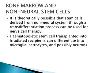  It is theoretically possible that stem cells 
derived from non-neural system through a 
transdifferentiation process can be used for 
nerve cell therapy. 
 Haematopoietic stem cell transplanted into 
irradiated recipients can differentiate into 
microglia, astrocytes, and possibly neurons 
 